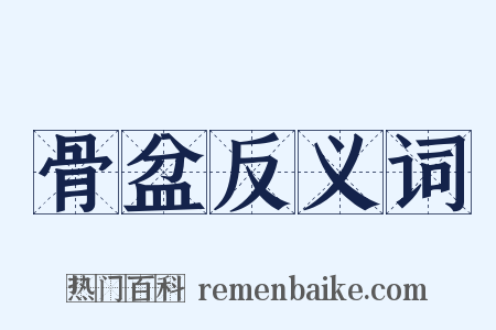 骨盆反义词是什么意思的图片